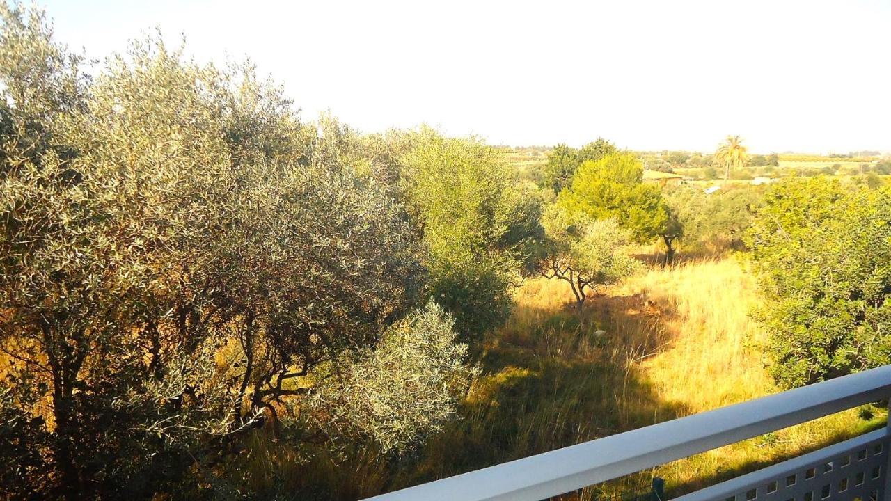 Peñíscola Terravita Residencial Lek מראה חיצוני תמונה